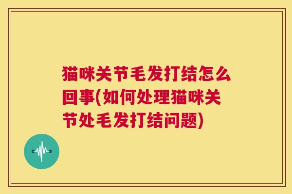 猫咪关节毛发打结怎么回事(如何处理猫咪关节处毛发打结问题)