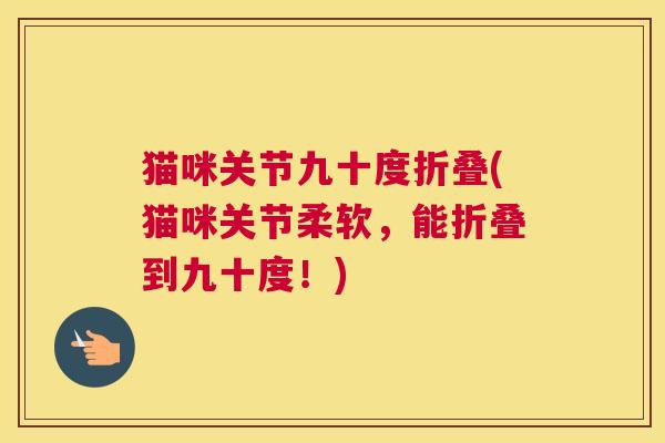 猫咪关节九十度折叠(猫咪关节柔软，能折叠到九十度！)