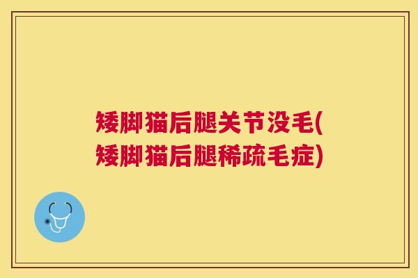 矮脚猫后腿关节没毛(矮脚猫后腿稀疏毛症)