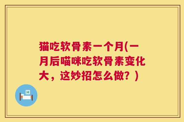 猫吃软骨素一个月(一月后喵咪吃软骨素变化大，这妙招怎么做？)