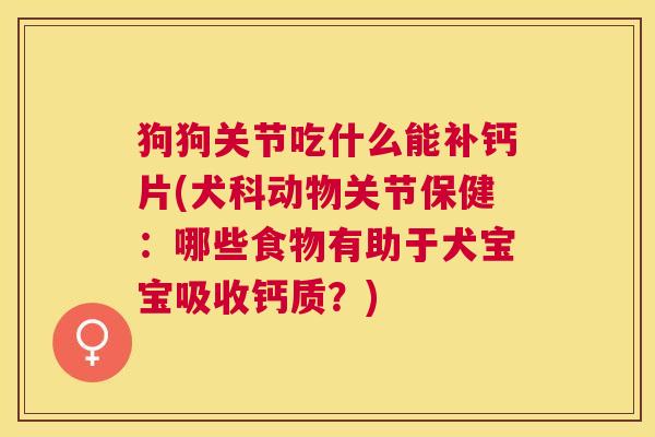 狗狗关节吃什么能补钙片(犬科动物关节保健：哪些食物有助于犬宝宝吸收钙质？)