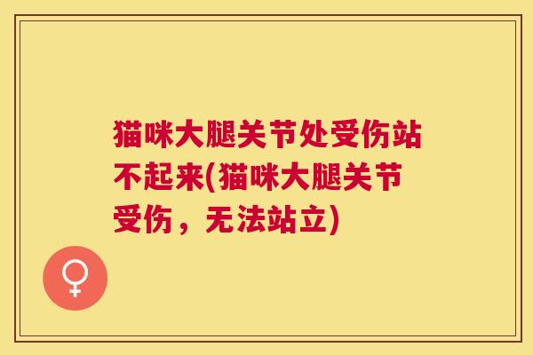 猫咪大腿关节处受伤站不起来(猫咪大腿关节受伤，无法站立)