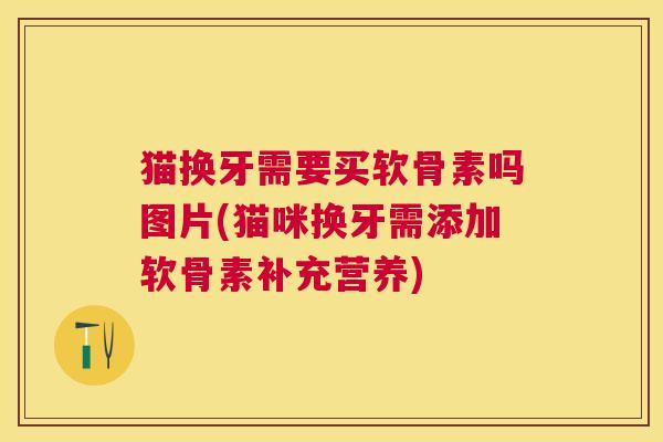 猫换牙需要买软骨素吗图片(猫咪换牙需添加软骨素补充营养)