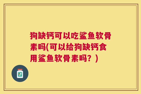 狗缺钙可以吃鲨鱼软骨素吗(可以给狗缺钙食用鲨鱼软骨素吗？)