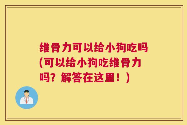 维骨力可以给小狗吃吗(可以给小狗吃维骨力吗？解答在这里！)