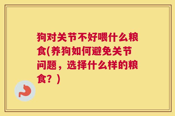 狗对关节不好喂什么粮食(养狗如何避免关节问题，选择什么样的粮食？)