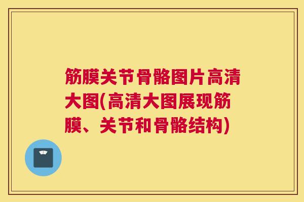 筋膜关节骨骼图片高清大图(高清大图展现筋膜、关节和骨骼结构)