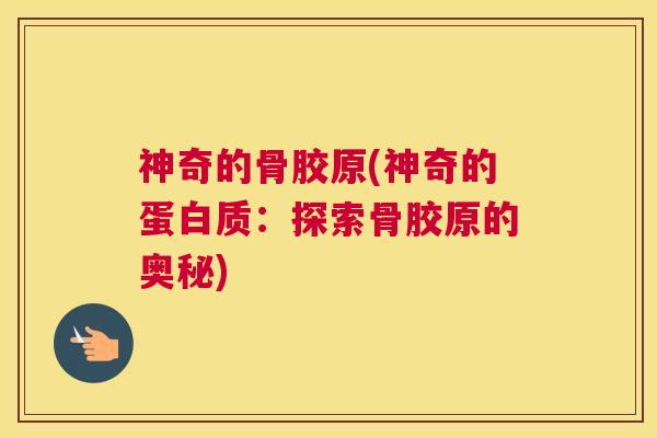 神奇的骨胶原(神奇的蛋白质：探索骨胶原的奥秘)