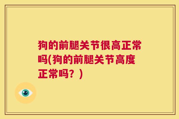 狗的前腿关节很高正常吗(狗的前腿关节高度正常吗？)
