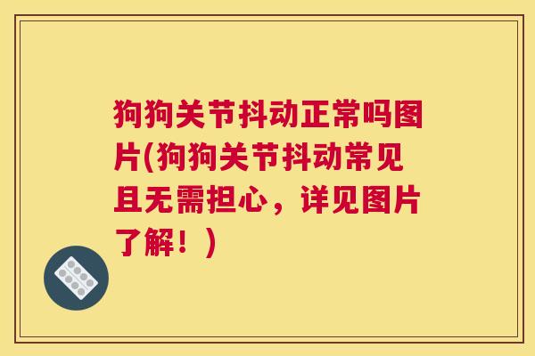 狗狗关节抖动正常吗图片(狗狗关节抖动常见且无需担心，详见图片了解！)