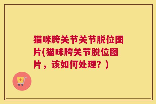 猫咪胯关节关节脱位图片(猫咪胯关节脱位图片，该如何处理？)