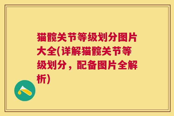 猫髋关节等级划分图片大全(详解猫髋关节等级划分，配备图片全解析)
