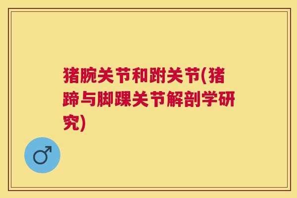 猪腕关节和跗关节(猪蹄与脚踝关节解剖学研究)