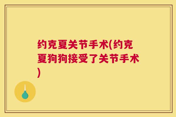 约克夏关节手术(约克夏狗狗接受了关节手术)