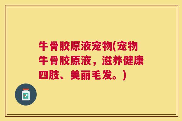 牛骨胶原液宠物(宠物牛骨胶原液,滋养健康四肢、美丽毛发。) 牛骨胶原液宠物(宠物牛骨胶原液,滋养健康四肢、美丽毛发。)