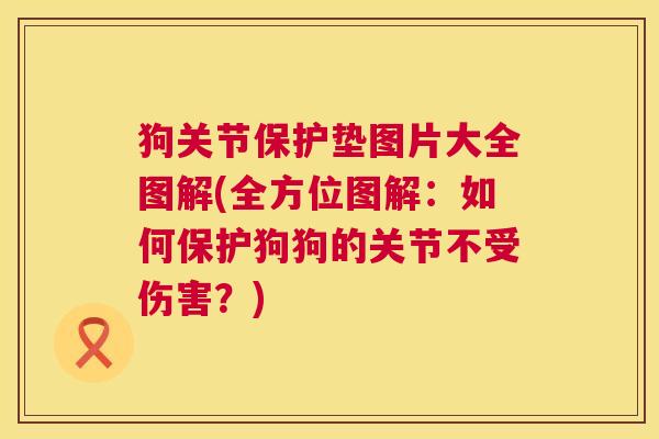 狗关节保护垫图片大全图解(全方位图解：如何保护狗狗的关节不受伤害？)