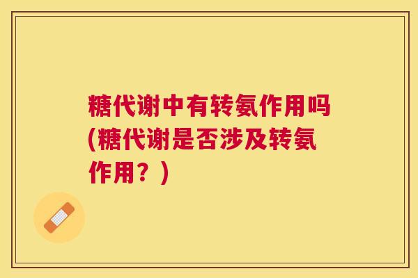 糖代谢中有转氨作用吗(糖代谢是否涉及转氨作用？)
