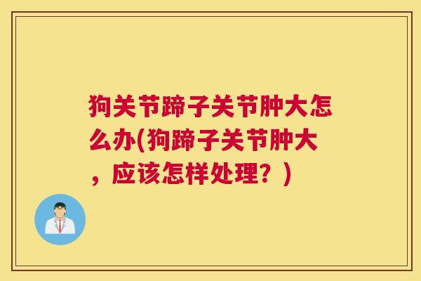 狗关节蹄子关节肿大怎么办(狗蹄子关节肿大，应该怎样处理？)