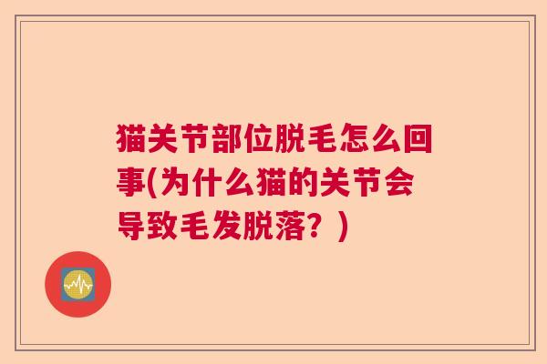 猫关节部位脱毛怎么回事(为什么猫的关节会导致毛发脱落？)