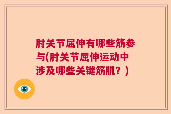 肘关节屈伸有哪些筋参与(肘关节屈伸运动中涉及哪些关键筋肌？)
