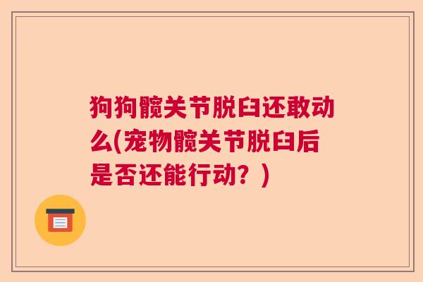 狗狗髋关节脱臼还敢动么(宠物髋关节脱臼后是否还能行动？)
