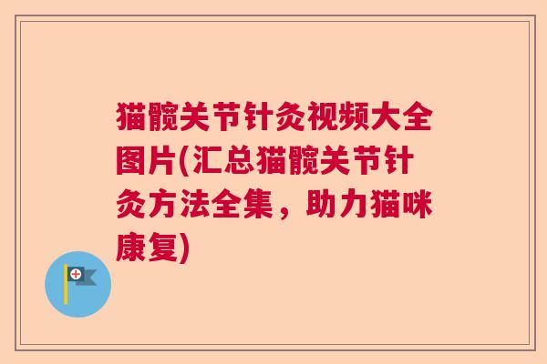 猫髋关节针灸视频大全图片(汇总猫髋关节针灸方法全集，助力猫咪康复)