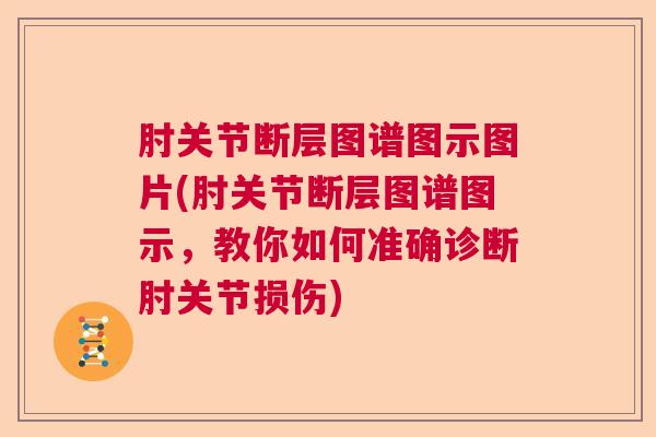 肘关节断层图谱图示图片(肘关节断层图谱图示，教你如何准确诊断肘关节损伤)