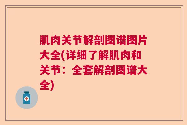 肌肉关节解剖图谱图片大全(详细了解肌肉和关节：全套解剖图谱大全)