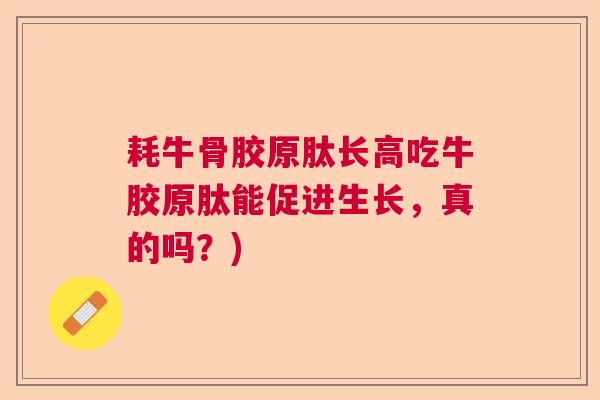耗牛骨胶原肽长高吃牛胶原肽能促进生长，真的吗？)