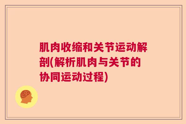 肌肉收缩和关节运动解剖(解析肌肉与关节的协同运动过程)