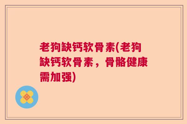 老狗缺钙软骨素(老狗缺钙软骨素，骨骼健康需加强)