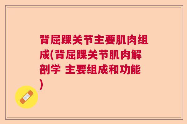 背屈踝关节主要肌肉组成(背屈踝关节肌肉解剖学 主要组成和功能) 背屈踝关节主要肌肉组成(背屈踝关节肌肉解剖学 主要组成和功能)