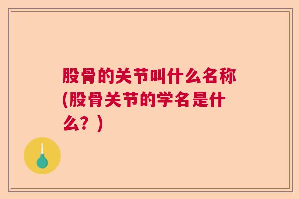 股骨的关节叫什么名称(股骨关节的学名是什么？)