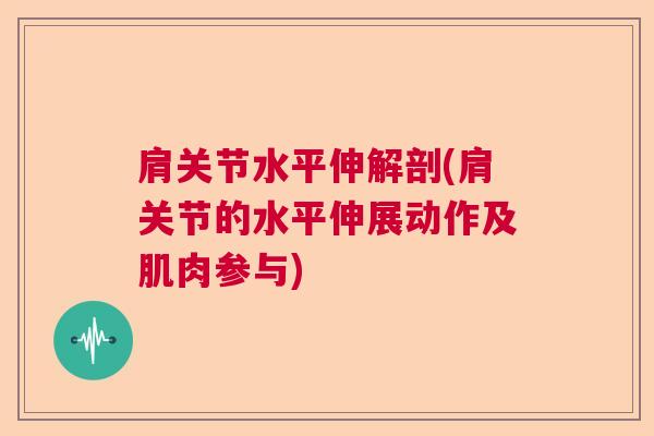 肩关节水平伸解剖(肩关节的水平伸展动作及肌肉参与) 肩关节水平伸解剖(肩关节的水平伸展动作及肌肉参与)