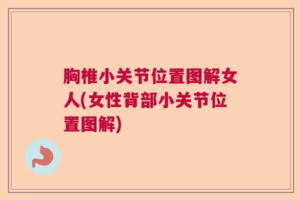 胸椎小关节位置图解女人(女性背部小关节位置图解)