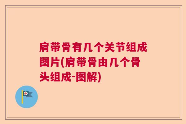 肩带骨有几个关节组成图片(肩带骨由几个骨头组成-图解)