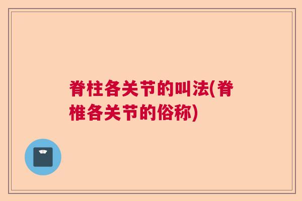 脊柱各关节的叫法(脊椎各关节的俗称)