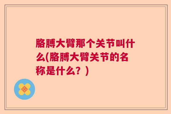 胳膊大臂那个关节叫什么(胳膊大臂关节的名称是什么？)