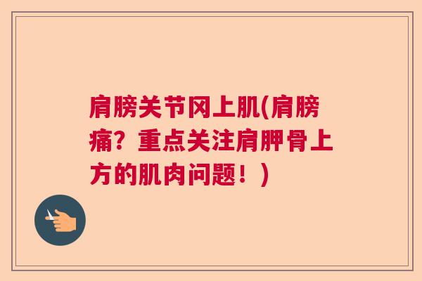 肩膀关节冈上肌(肩膀痛？重点关注肩胛骨上方的肌肉问题！)