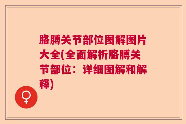 胳膊关节部位图解图片大全(全面解析胳膊关节部位：详细图解和解释)
