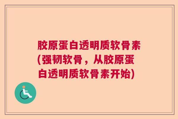 胶原蛋白透明质软骨素(强韧软骨，从胶原蛋白透明质软骨素开始)