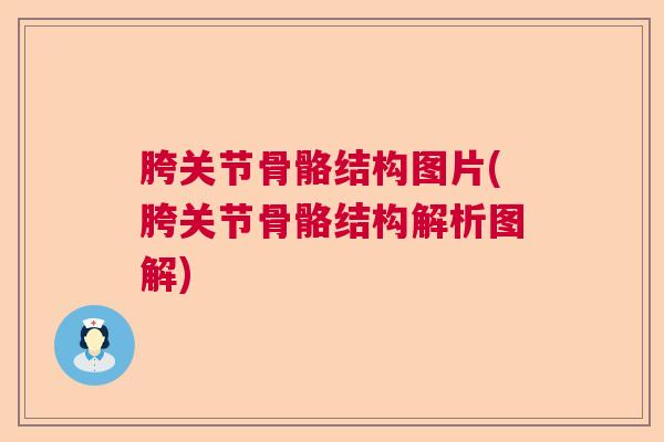 胯关节骨骼结构图片(胯关节骨骼结构解析图解)