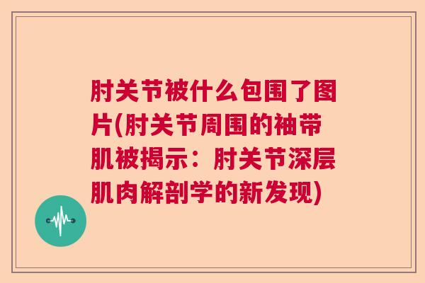 肘关节被什么包围了图片(肘关节周围的袖带肌被揭示：肘关节深层肌肉解剖学的新发现)
