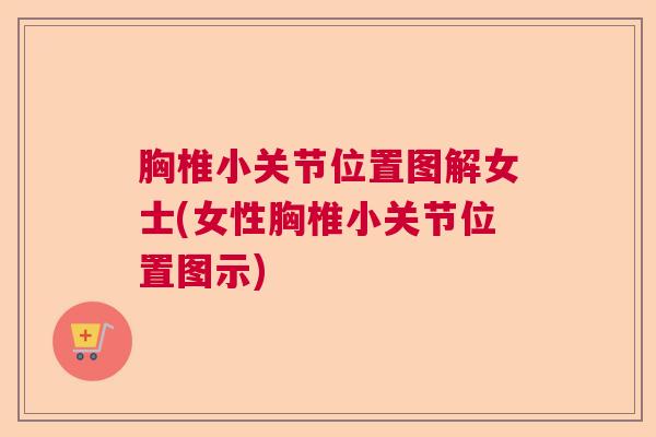 胸椎小关节位置图解女士(女性胸椎小关节位置图示)