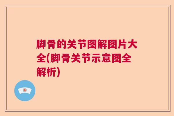 脚骨的关节图解图片大全(脚骨关节示意图全解析)