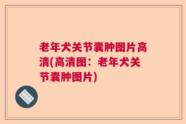 老年犬关节囊肿图片高清(高清图：老年犬关节囊肿图片)
