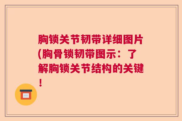 胸锁关节韧带详细图片(胸骨锁韧带图示：了解胸锁关节结构的关键！