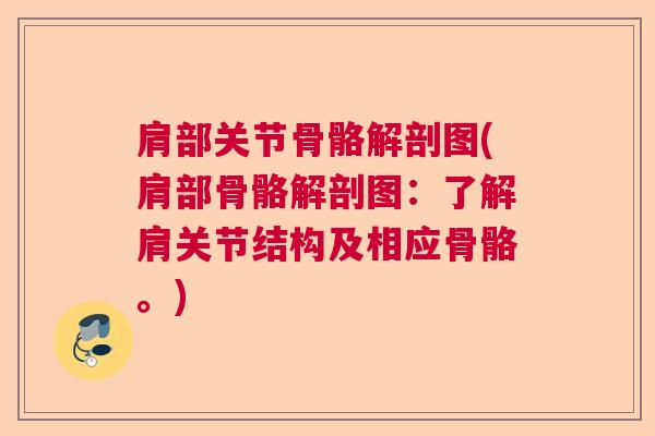 肩部关节骨骼解剖图(肩部骨骼解剖图：了解肩关节结构及相应骨骼。)