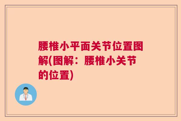 腰椎小平面关节位置图解(图解：腰椎小关节的位置)