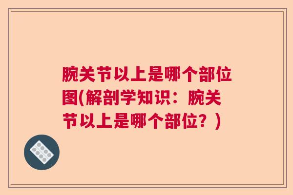 腕关节以上是哪个部位图(解剖学知识：腕关节以上是哪个部位？)